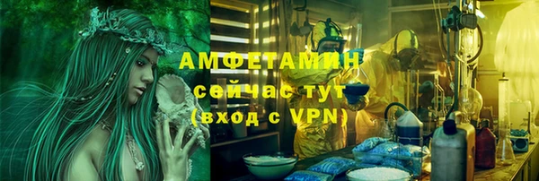 мяу мяу мука Тайга