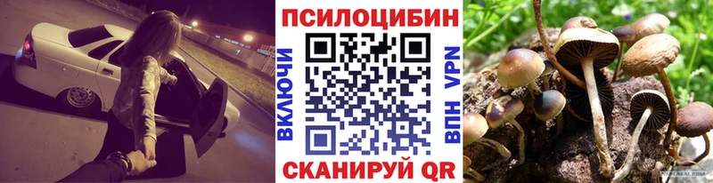 Галлюциногенные грибы Psilocybe  цена   Тамбов 