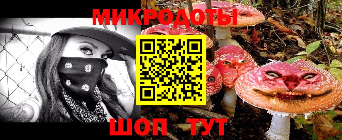 Тамбов  Галлюциногенные грибы Psilocybe  Вход с VPN 