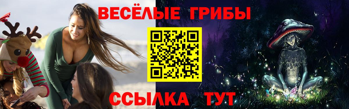 Галлюциногенные грибы ЛСД Тамбов